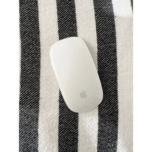Apple Magic Mouse (1st Gen) A1296 - EUC Aesthetic - READ DESCRIPTION